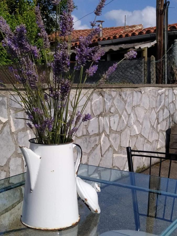 La Granda De La Concha Villa Nueva De Llanes Ngoại thất bức ảnh